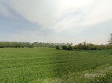 Terreno agric. a Castelfranco di Sotto