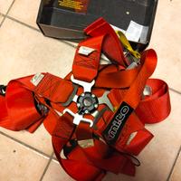 cinture scaduta omologazione