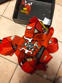 cinture scaduta omologazione