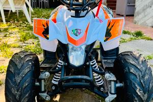 Quad LEM 110cc
