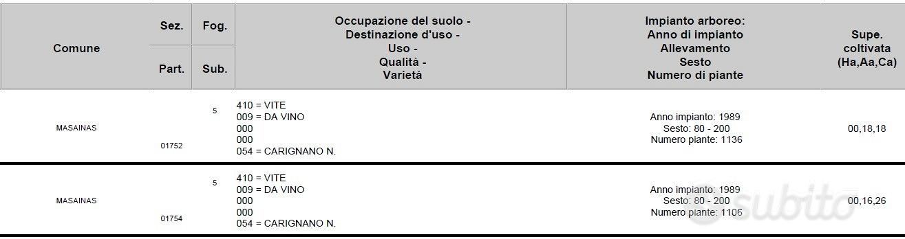 Vigneto Carignano del sulcis - Altro