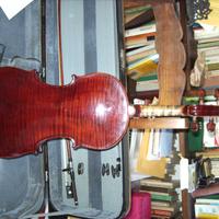 Violino intero