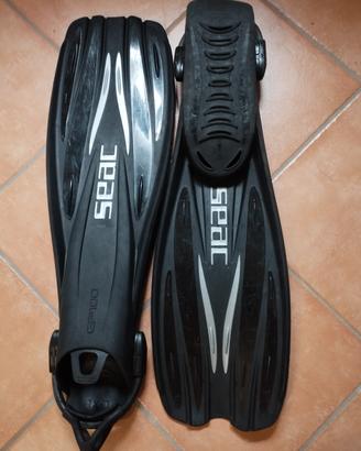 SEAC GP100S
