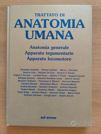Trattato di Anatomia Umana Anastasi