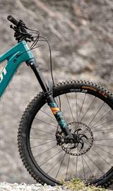 Forcella fox performance 38 revisionata