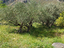 Immagine 10