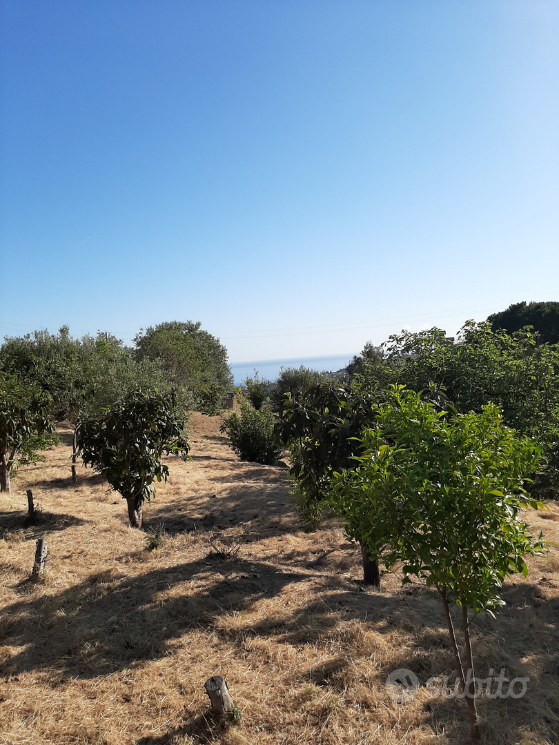Terreno Agricolo - Vista 2