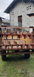spandiletame agricolo