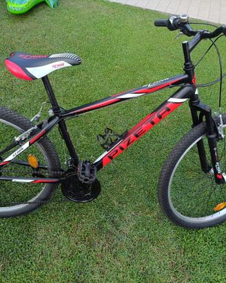 Bici ragazzo