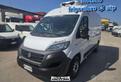 Ducato np 2020 frigorifero atp 0°