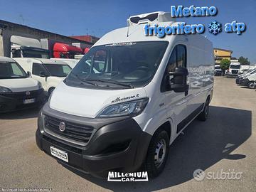 Ducato np 2020 frigorifero atp 0°