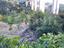 Immagine 27