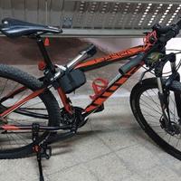 scott aspect 29