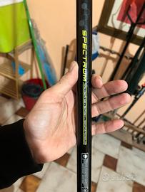 Bolognese Tracucco 6 metri