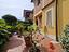 Immagine 7
