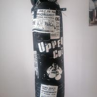 sacco da box più guantoni Leone