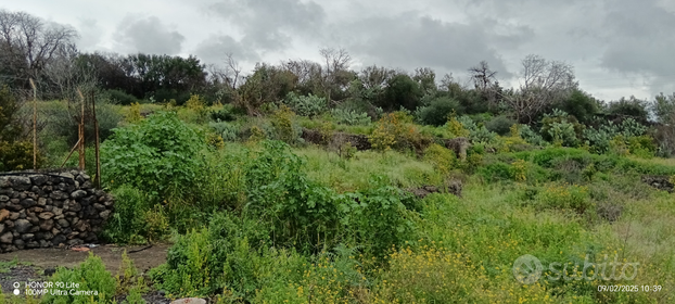 Terreno agricolo