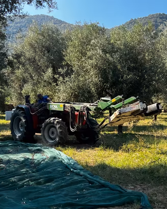 Scuotitore doppio braccio sicma tlx 100