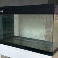 acquario 