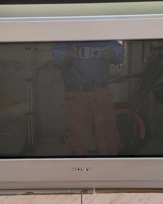 TV Sony trinitron 28" 100hz con telecomando 