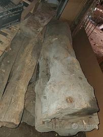 grossi tronchi di ulivo secolare stagionato