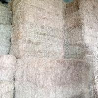 FIENO DI SECONDA SCELTA