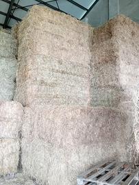 FIENO DI SECONDA SCELTA