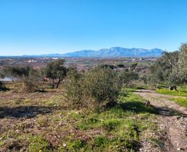 Terreno agricolo