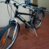 bici da 20