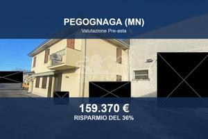 Immobile in asta di 497 m² a Pegognaga
