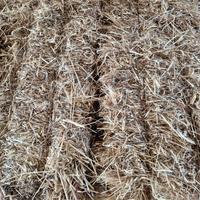 Ballette di Fieno avena misto