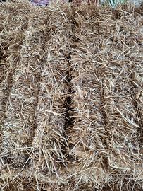 Ballette di Fieno avena misto