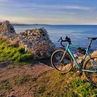 Bottecchia Gravel Monster 