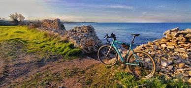 Bottecchia Gravel Monster 