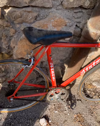 atala d’epoca vintage campione 1982/83