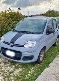  FIAT PANDA COME NUOVA 