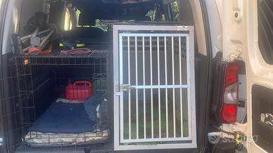 kennel cane