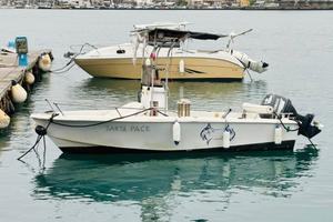 Vuoi stare nella Santa Pace?