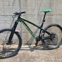 Dartmoor Hornet 27.5 tg L