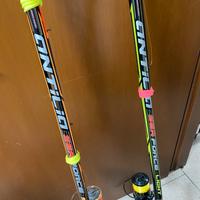 Canna  antilia sea force