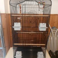 Gabbia per pappagalli 