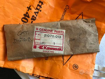 Catena distribuzione Kawasaki