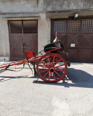 Calesse d'epoca a 2 ruote per cavallo