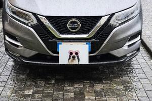 NISSAN Qashqai 2ª serie - 2020