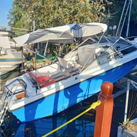 Barca 6 m Yamaha 40/60