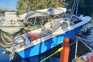 Barca 6 m Yamaha 40/60