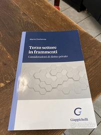 Terzo settore in frammenti Giappichelli