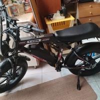 Eggking C200