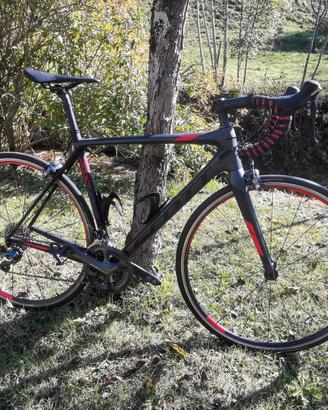 Scott addict 20