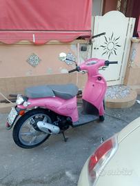 scarabeo  50cc